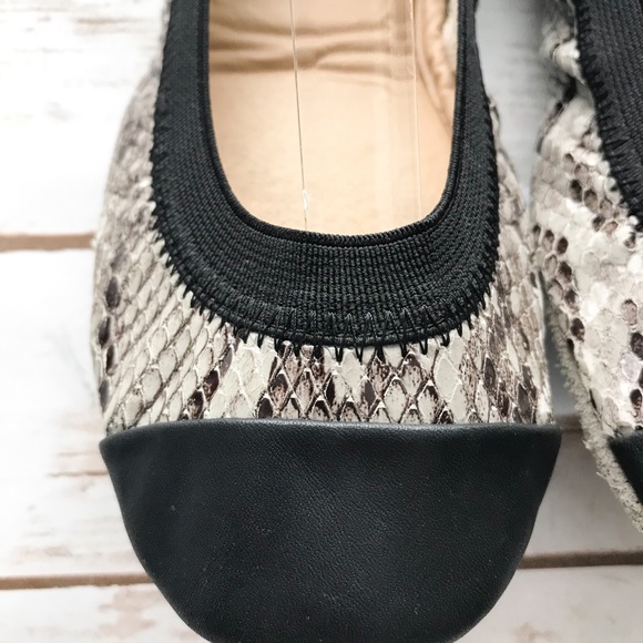 YOSI SAMRA Samatha Snake Grey Leather Ballet Flats - Picture 4 of 8